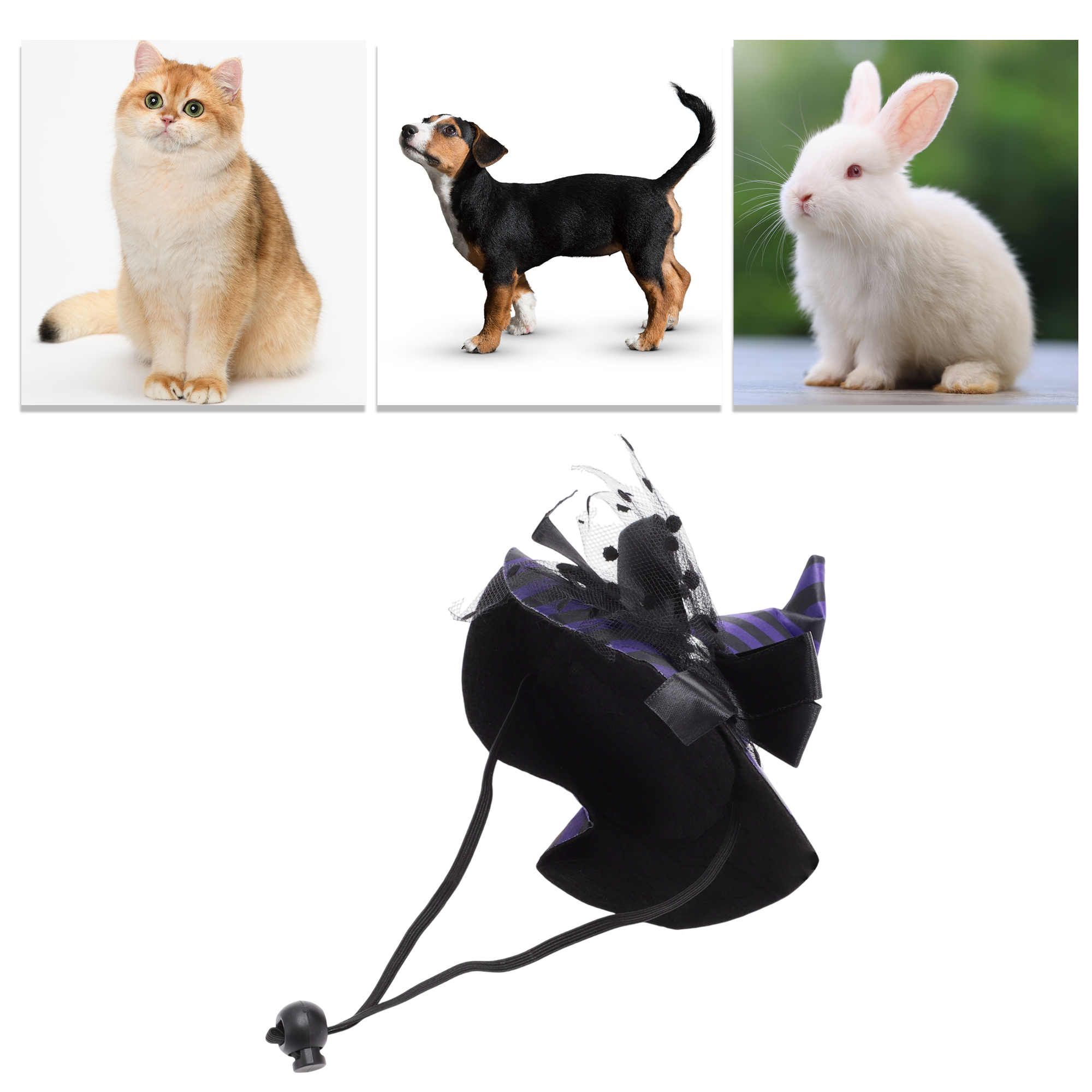 Unique Bargains Halloween Pet Holiday Headdress 5.12x5.91 Purple Accessory for Pets
