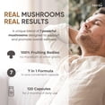 thumbnail image 3 of Herba Mushroom Complex Supplements with Lions Mane - 120 Capsules | Made in Canada, 3 of 9