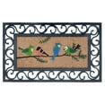 thumbnail image 1 of Rubber & Coir Mat Birds On Branch 18 X 30, 1 of 3