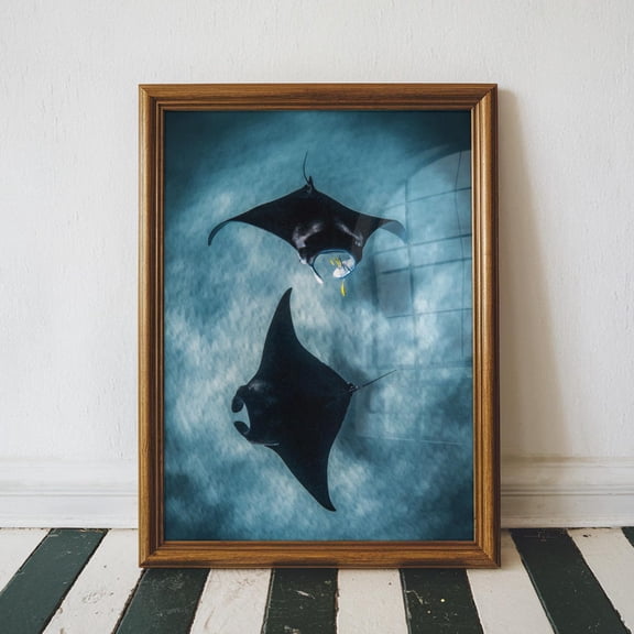 Two Manta Rays In The Ocean Poster, Ocean Lover Wall Art, Beach House Decor, Underwater Nautical Decor, Wall Art, Unframed Poster Size 8x12