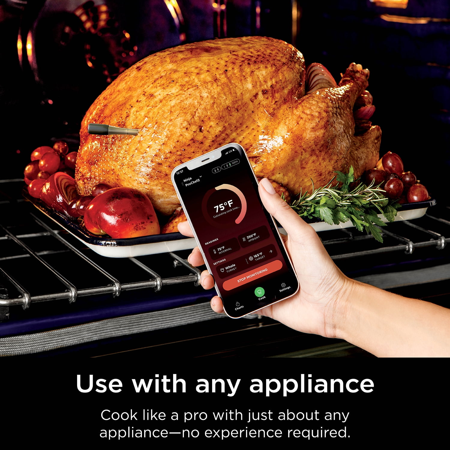 Ninja ProChef Wireless Meat Thermometer Indoor & Outdoor, extended battery life, bluetooth, waterproof, WP100