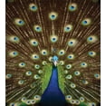 thumbnail image 3 of Peacock Duvet Cover Set, Portrait of Animal Feathers out Vibrant Colors Birds Summer Garden, Decorative 3 Piece Bedding Set with 2 Pillow Shams, Queen Size, Navy Blue Green Brown, by Ambesonne, 3 of 3