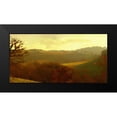 thumbnail image 2 of Bay, Noah 18x11 Black Modern Framed Museum Art Print Titled - Rolling Hills, 2 of 5
