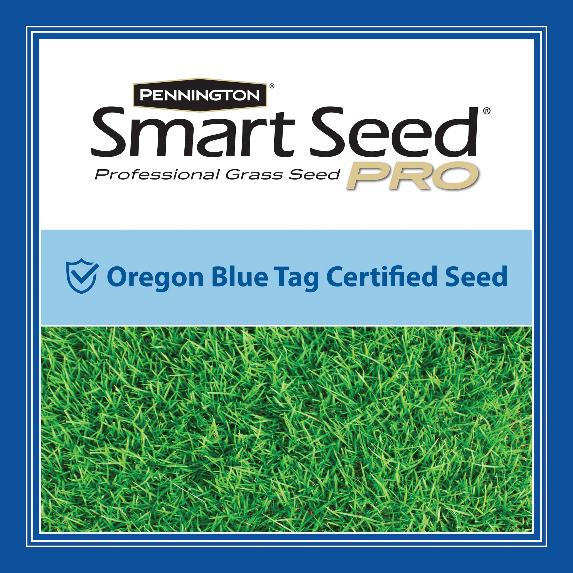 Pennington Smart Seed Professional Grass Seed Tall Fescue + Bluegrass Mix 50 lb