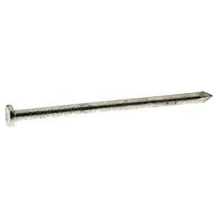 

60D 6 in. 5 lbs Common Hot-Dipped Galvanized Steel Nail Round - Pack of 6