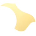 thumbnail image 2 of Scratchplate Pickguard Para Guitarra Acústica Anti Scratch Para Principiantes Producción Instrumentos Musicales Forma de pájaro, 2 of 9
