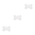 thumbnail image 3 of Advancent Llavero acrílico portátil DIY preperforado diseño de arte transparente suave dibujo llavero * hueso 7,5x5cm 3mm Type1 NO1, 3 of 6