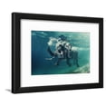 thumbnail image 1 of Swimming Elephant Underwater African Elephant in Ocean with Mirrors and Ripples at Water Surface, Animals Framed Art Print Wall Art by Willyam Bradberry Sold by Art.Com, 1 of 1