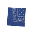 thumbnail image 1 of Bandana Bleu, 1 of 1