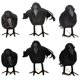 thumbnail image 5 of Pájaro artificial YONGSHENG cuervo plumas negras decoración Halloween, 5 of 5