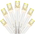 thumbnail image 1 of YULETIME 100 ft 300 Count Warm White LED String Lights with Adapter, Clear Wire Wide Angle 5mm Christmas Light (Warm White), 1 of 8