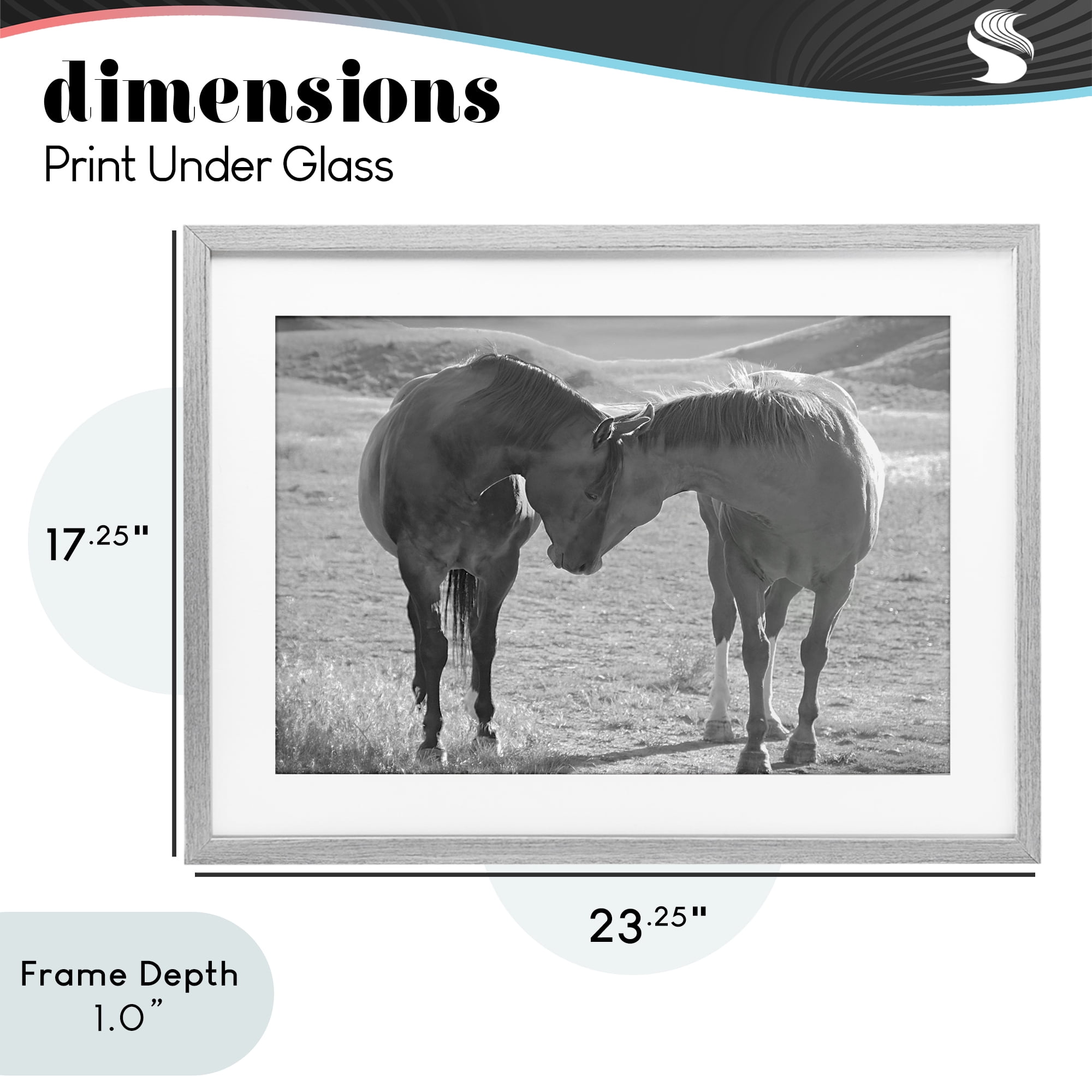 Stupell Industries Sweet Nothings Bond Between Horses Gray Framed Print Under Glass, design by Steve Toole