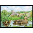 thumbnail image 1 of Carolines Treasures ASA2178MAT Canard Colvert Tapis d'Intérieur Ou d'Extérieur- 18 x 27, 1 of 4