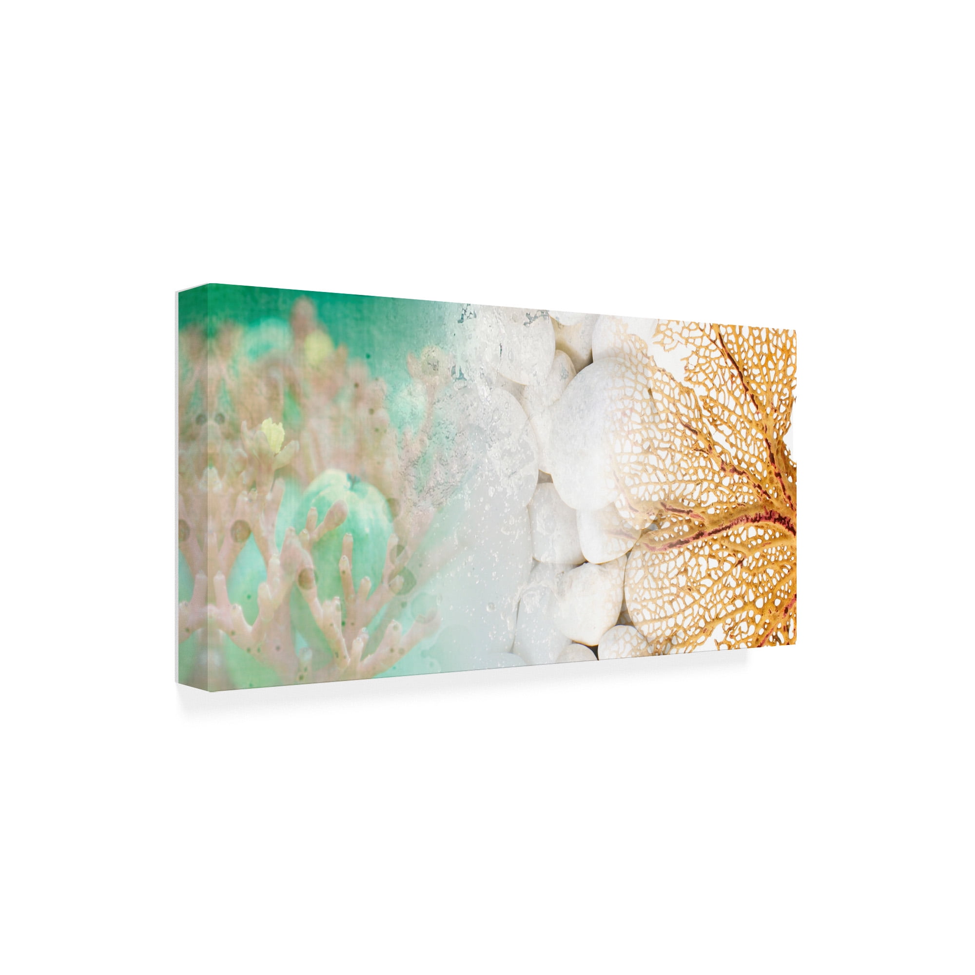Trademark Fine Art 'Serene Photo Collage III' Canvas Art by Irena Orlov