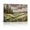 A, variant on XaaKee Rustic Meadow Art Prints Canvas Wall Art Country Landscape Wild Grasses Inner Framed 18*12Inch