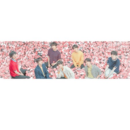 Kpop Concert Banner Size