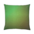 thumbnail image 1 of Ahgly Company Outdoor Square Contemporary Throw Pillow, 18 inch by 18 inch, 1 of 5