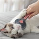 thumbnail image 1 of Cat Comb Dog Comb Cat Hair Comb Pet Dog Hair Special Needle Comb Cat Hair Cleaner Cleaning and Beauty ProductsGrayGERMANY He Qiyong unisex, 1 of 1
