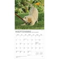 thumbnail image 4 of Chiots | 2026 12x24" (Hanging) Square Wall Calendar, 4 of 9