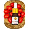 Import Nomad - Rose Essential Oil Aromatherapy Diffuser Set with Essential Oils Included - Air Diffuser Ceramic Rock Set