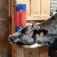 thumbnail image 4 of Premier Scratch Brush for Livestock (XL Brush), 4 of 7