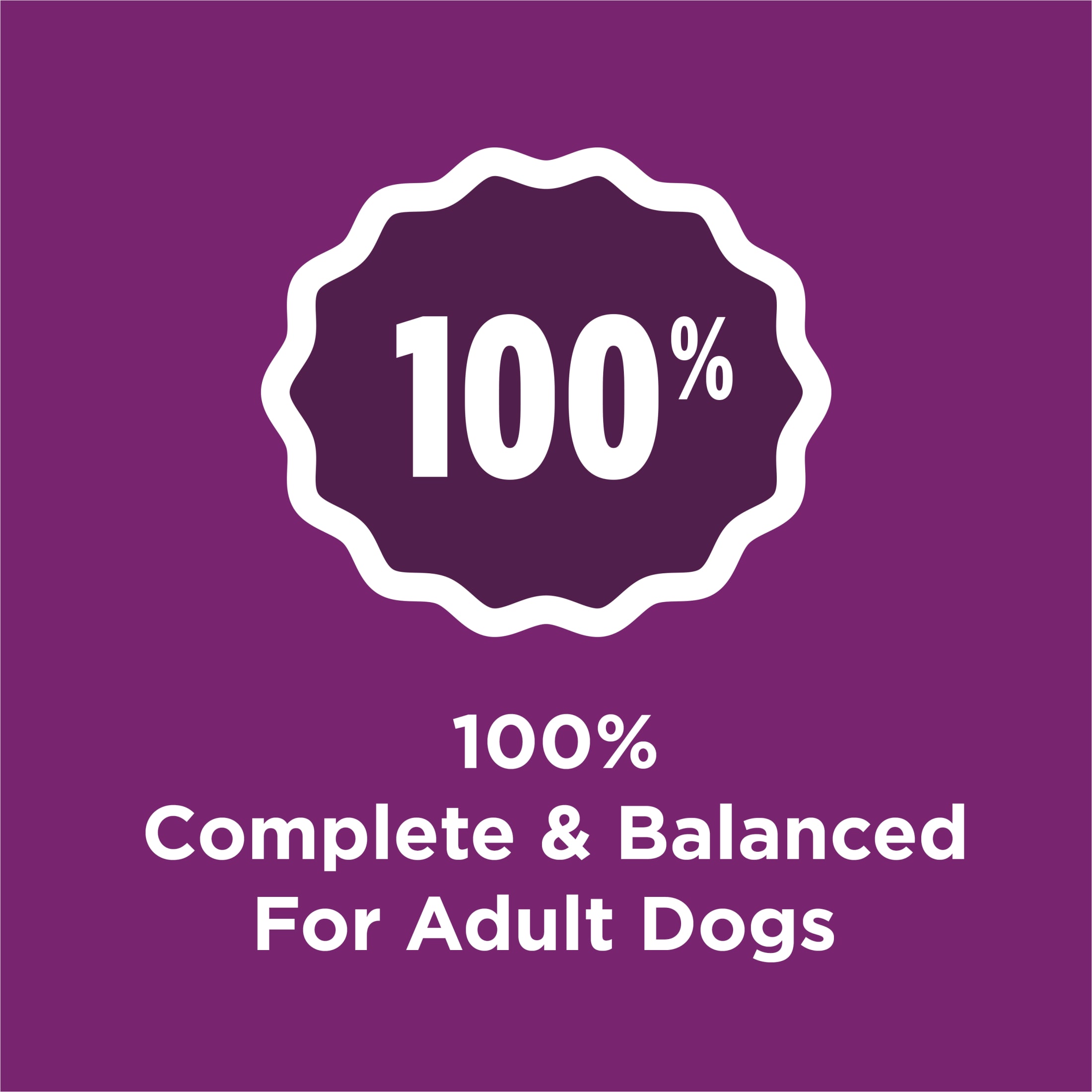 Purina Dog Chow Complete High Protein Lamb Dry Dog Food photo 2