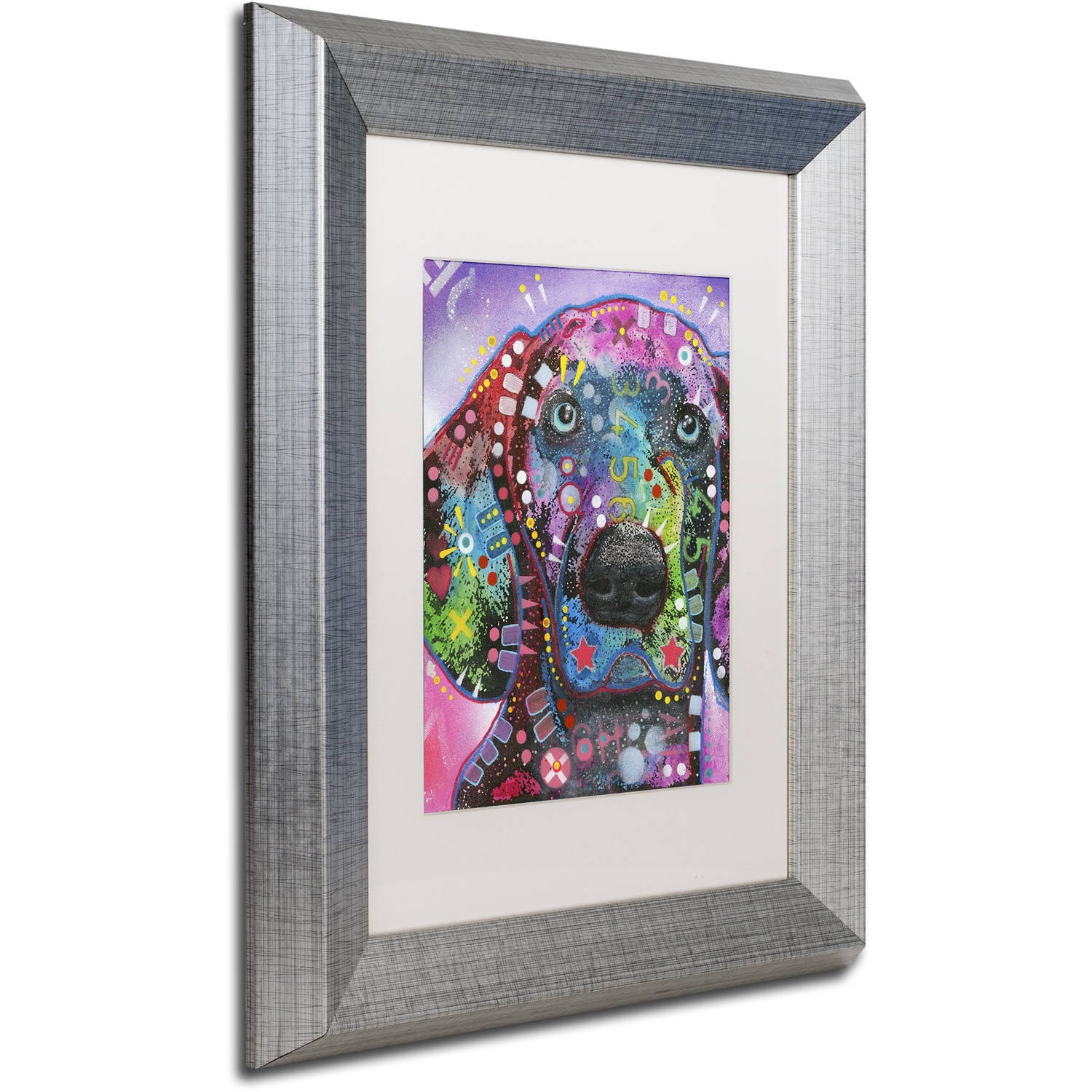 Trademark Fine Art "Purple Excitement" Canvas Art by Dean Russo, White Matte, Silver Frame