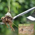 thumbnail image 3 of Garden Hand Weeder, Weed Remover Tool Manual Weed Puller Dandelion Remover Tool, Garden Tools Fast And Labor-saving Puller Weeding Tools, 3 of 5