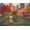 Central Park Paradise, variant on Springbok's 1500 Piece Jigsaw Puzzle Cabin Evening Sunset