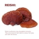 thumbnail image 4 of Suplemento Terrasoul Superfoods Cognitive Mushroom Coffee 405 g, 4 of 7