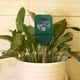 thumbnail image 2 of Mini Probador Humedad Del Flores Higrómetro Detector Analizador Plantas Jardín, 2 of 8