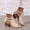 Beige, variant on Women's Peep Toe Ankle Booties Suede Chunky Heels Cutout Back Zipper Sandals Ankle Strap Dress Sandals