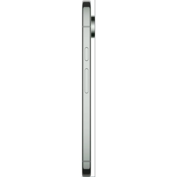 Google Pixel 9 Pro 256GB Fully Unlocked Hazel (LCD SHADOW) (Good)