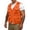 Saffron, variant on Men's Fishing Vests Casual Windproof Softshell Jackets Comfortable Henley Sleeveless Vests Summer Golf Running Hiking Vests with Multi-Pockets Beige XL