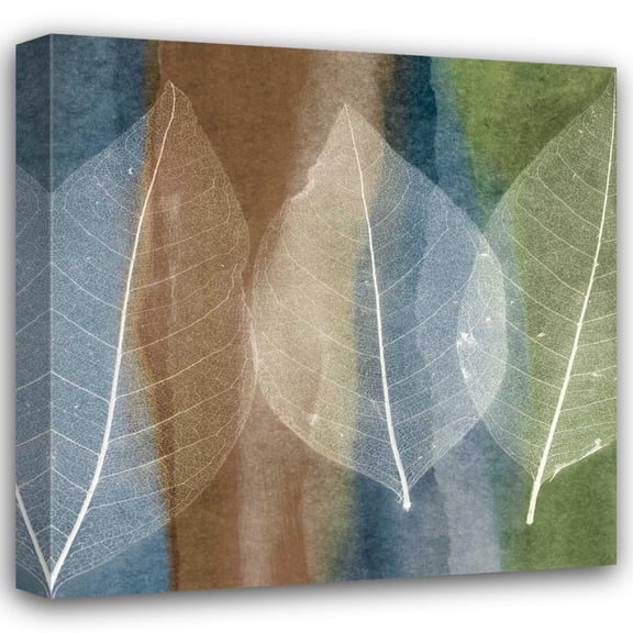 John Rehner 15x15 Gallery Wrapped Canvas Wall Art Titled - Leaf Structure II