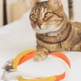 thumbnail image 2 of 3pcs Cat Toys Colorful Cat Catnip Rope Toys Interactive Cat Chewing Toys, 2 of 9