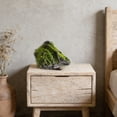 thumbnail image 6 of zhonghuaying Non-Hollow Artificial Rock, Moss Rock, Decorative Rocks, PU Foam Stone for Outdoor Landscaping Yard, Indoor Window Display(8.26x10.23 in), 6 of 8