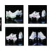 thumbnail image 2 of KOFUBOKE Zapatos de patín con ruedas con deformación LED, zapatos para caminar de doble hilera con ruedas invisibles, polea extraíble 2 en 1, patinaje Parkour (parte superior baja blanca con luz 8), 2 of 5