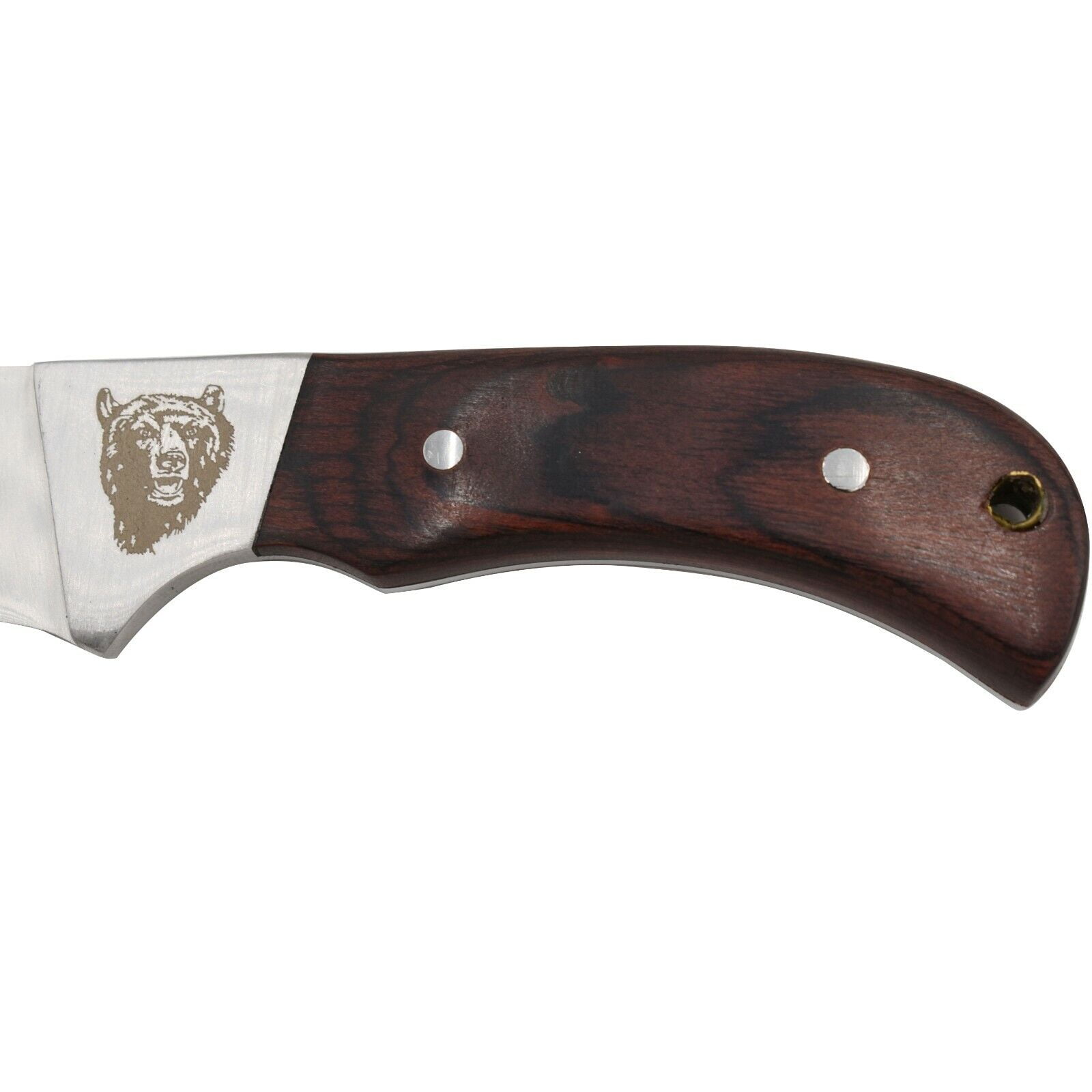 Wild Turkey Handmade 8'' Wildlife Collection Fixed Blade Hunting Knife w. Sheath