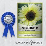 Lemon Queen Sunflower Seeds