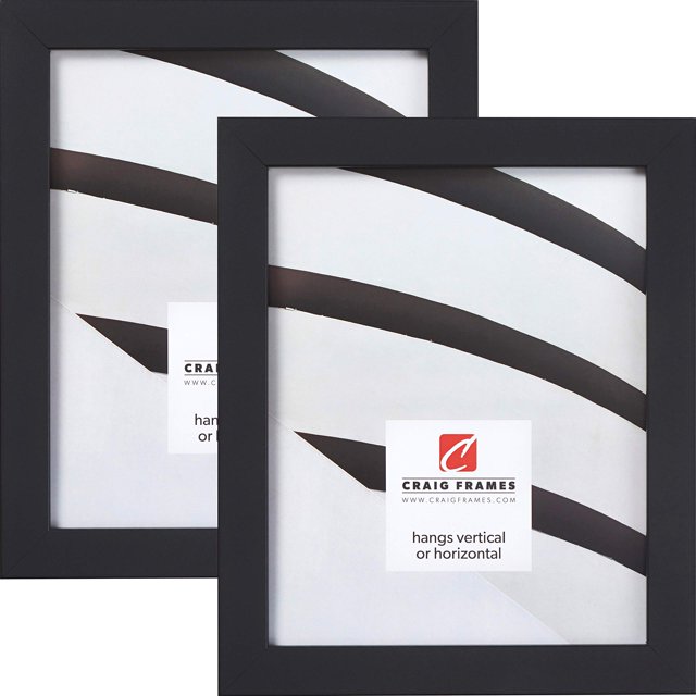 Craig Frames Essentials, Modern 1 Inch Picture Frame, 12 x 12 Inch, Black, Set of 2
