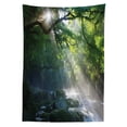 thumbnail image 3 of Ambesonne Nature Tablecloth Rectangular Table Cover, Jungle Sunlight Trees, 52"x70", Green White, 3 of 4