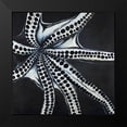 thumbnail image 2 of Atelier B Art Studio 15x15 Black Modern Framed Museum Art Print Titled - LARGE OCTOPUS TENTACLE, 2 of 5