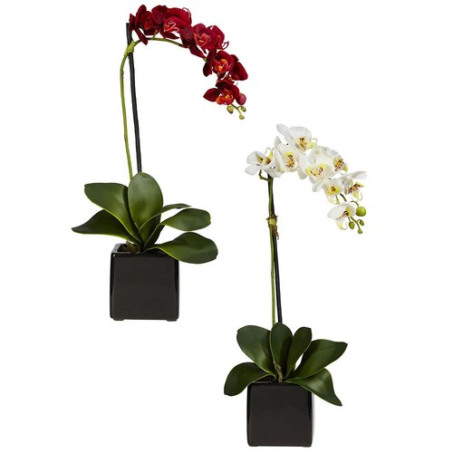 Nearly Natural Phaleanopsis Orchid Silk Arrangement with Black Vase, Red/White, 2pc