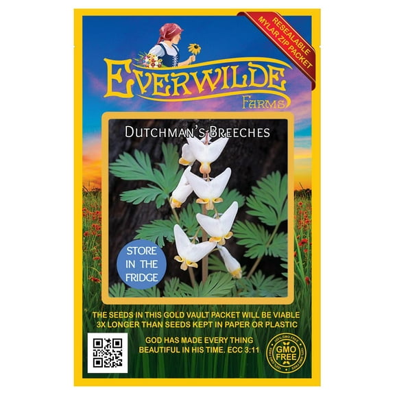Everwilde Farms - 40 Dutchman's Breeches Native Wildflower Seeds - Gold Vault Seed Packet