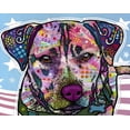 thumbnail image 2 of Dean Russo Collection 18x15 White Modern Wood Framed Museum Art Print Titled - Dakota, 2 of 4