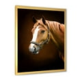 thumbnail image 2 of Designart 'Brown Horse With White Nose Portrait' Farmhouse Framed Art Print, 2 of 4