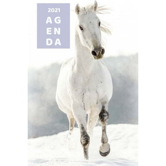 Agenda 2021: Agenda semana para los amantes de los caballos y de la equitaci�n