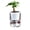 I, variant on Ruanlalo Aquaponic Betta Fish Tank Transparent Plastic Shatterproof Planter Ecosystem Aquarium Desktop Aquaponic System for Betta Fish Houseplants