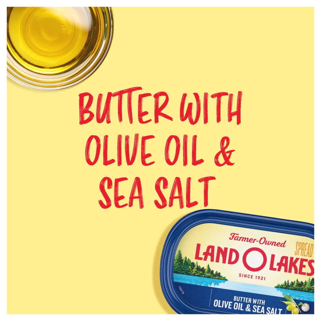 Land O Lakes Butter with Olive Oil & Sea Salt, Spreadable, 7 oz Tub